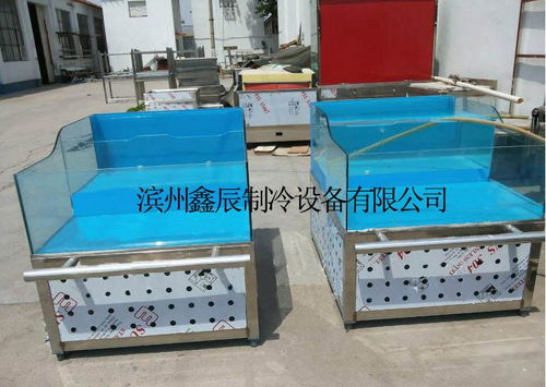 山東鑫辰海鮮貝類(lèi)臺(tái)、爬行類(lèi)貝類(lèi)池及水產(chǎn)品展示臺(tái) 專(zhuān)業(yè)生產(chǎn)廠家、價(jià)格解析與家用電器融合應(yīng)用